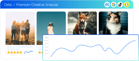 Lifecycle Management, stop loss of decayed creatives in time